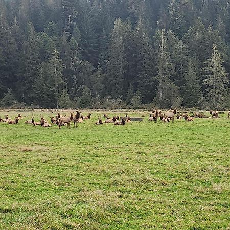 Redwood Farmhouse In The Orick Valley Luaran gambar